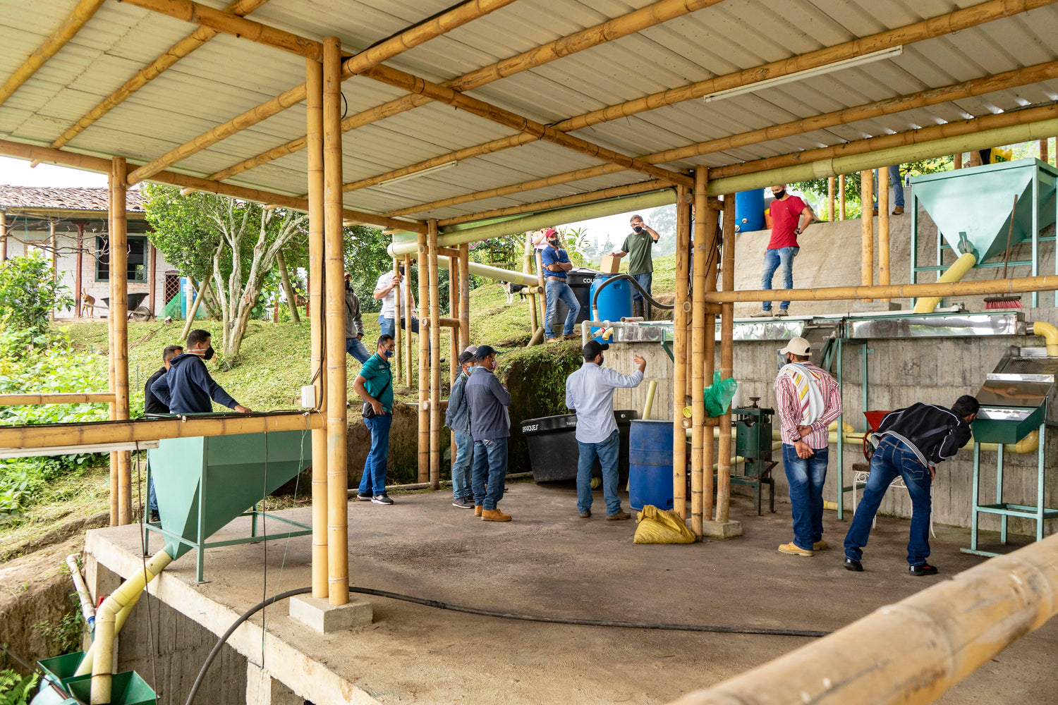 Farmers working on the coffee farm