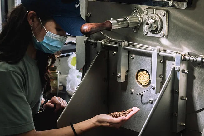 Inspection being done on roasted coffee beans 