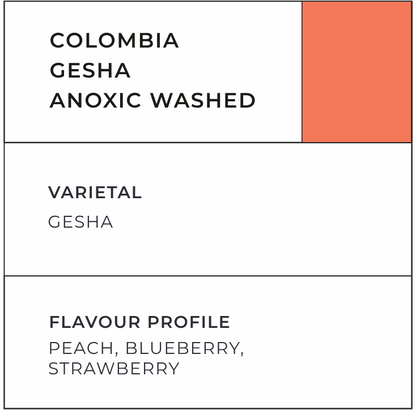 Colombia El Fenix Gesha - Liberty Coffee